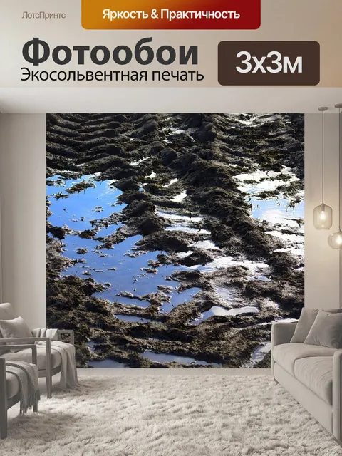 Фотообои Грязная дорога