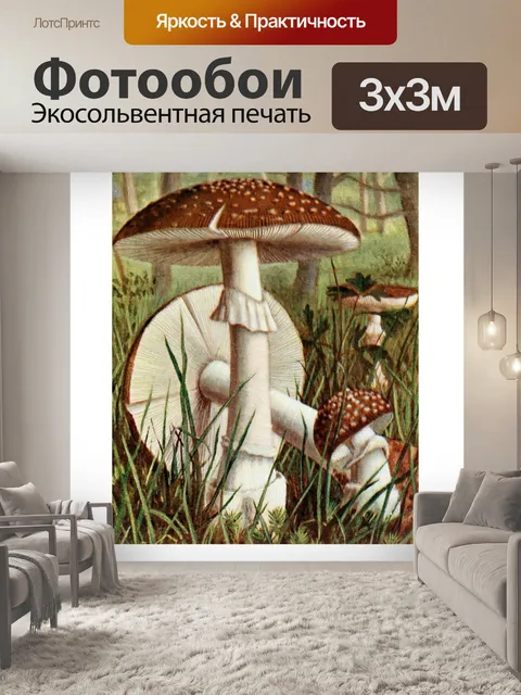 Фотообои Грибы век винтаж старый