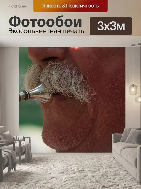 Фотообои Музыкант