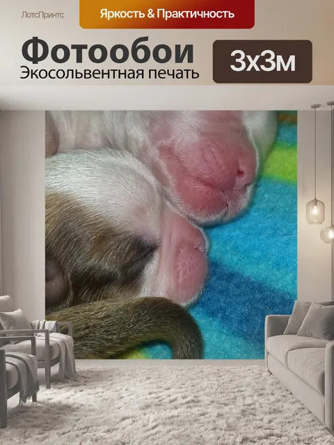 Фотообои Новорожденный