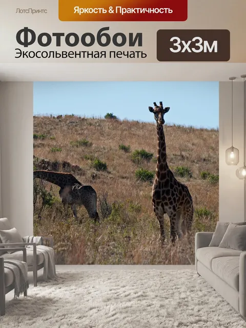 Фотообои жираф стоит у подножия холма