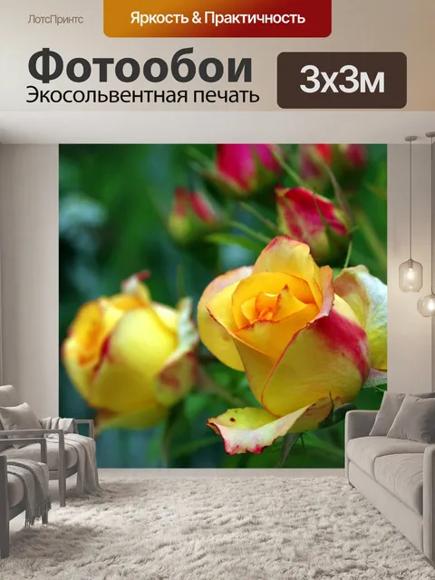 Фотообои Чайная роза