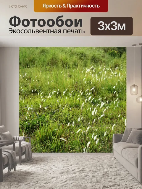 Фотообои зеленом фоне травы