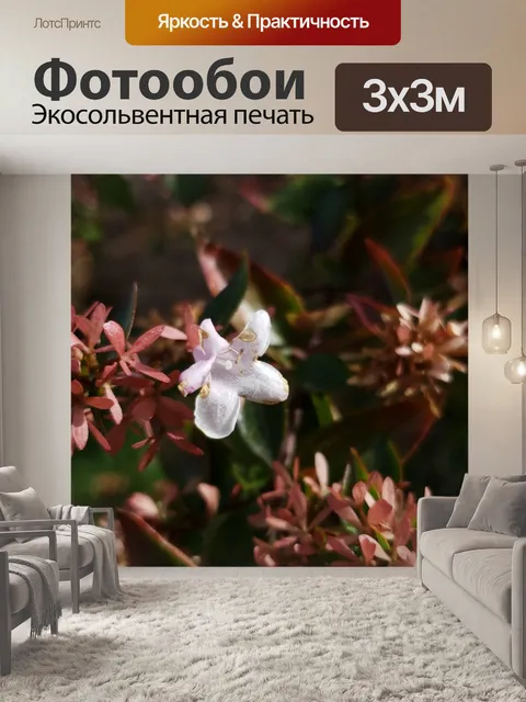 Фотообои Нежный белый цветочный фон