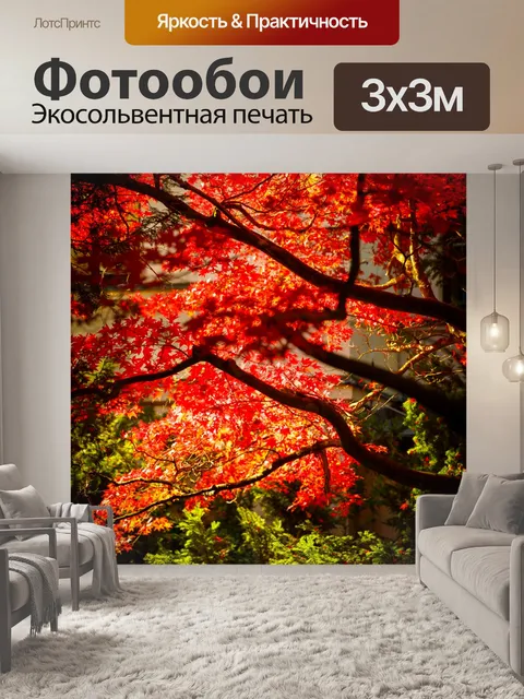 Фотообои Японский клен