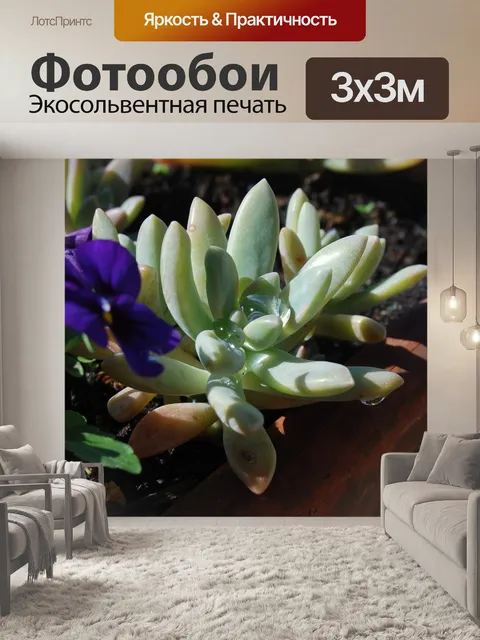 Фотообои Капли