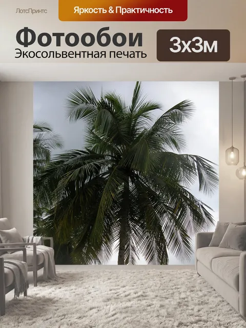 Фотообои Пальмы