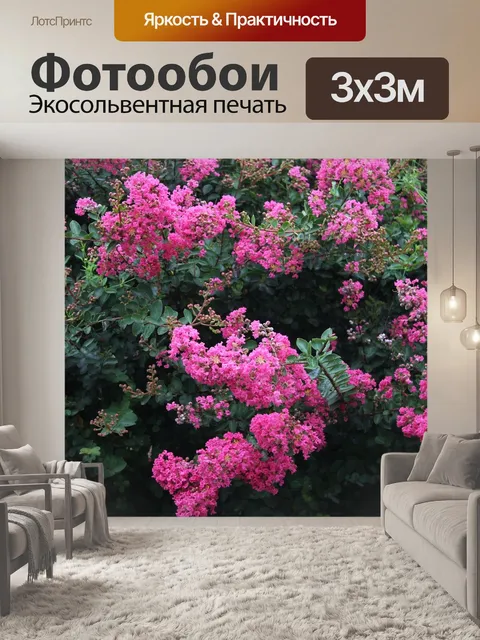 Фотообои Зимний жасмин