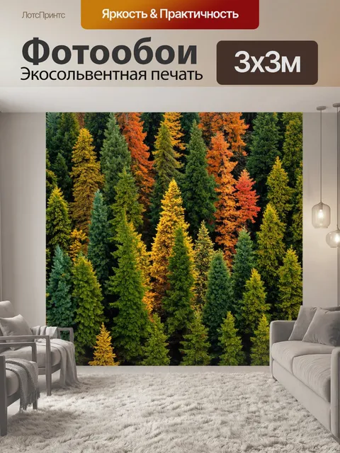 Фотообои лес с чередованием лиственных и хвойных деревьев