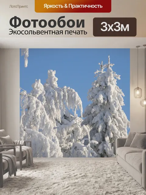 Фотообои Корона снеговой нагрузки