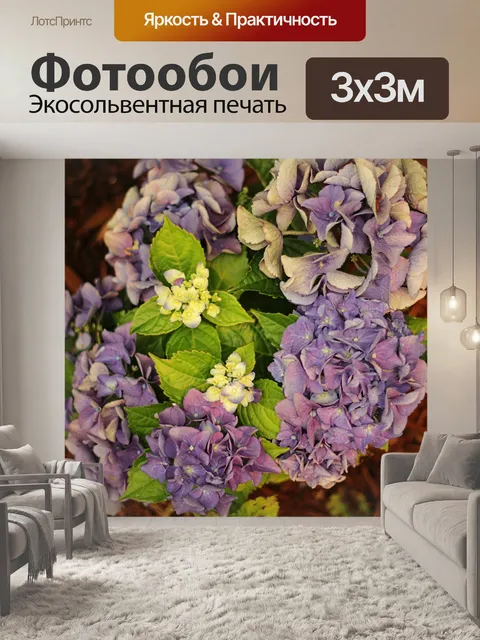 Фотообои Фиолетовые и белые цветы