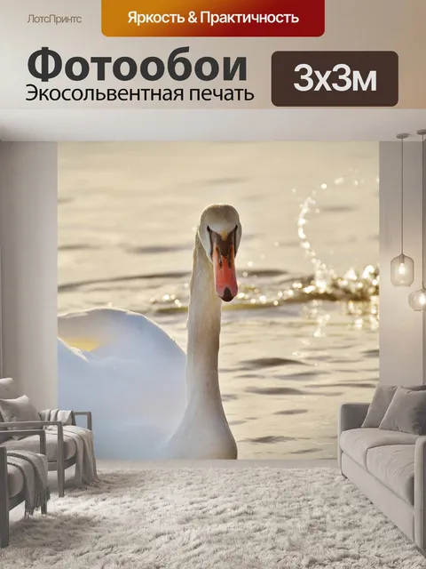 Фотообои Лебедь