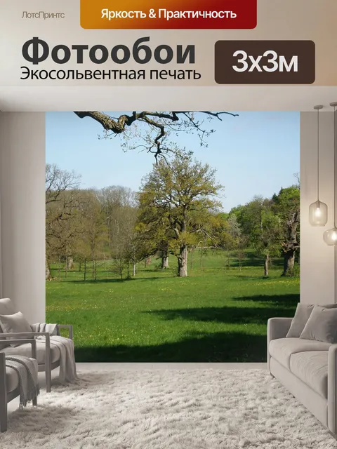 Фотообои Дубовая роща
