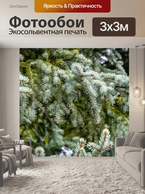 Фотообои Голубая ель