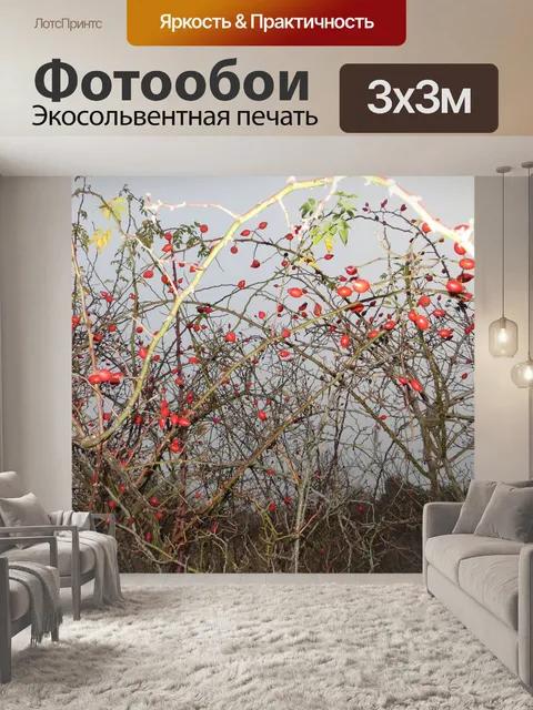 Фотообои Дикие кустарников в осень