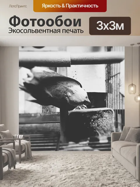 Фотообои Попугай