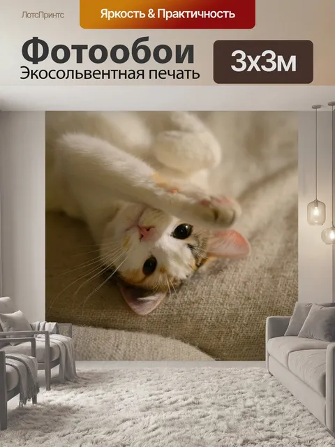 Фотообои Кошка