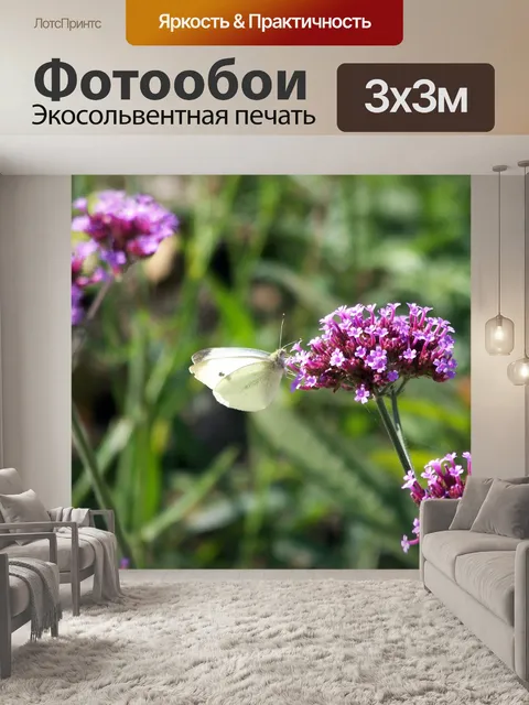 Фотообои Бабочка на цветке