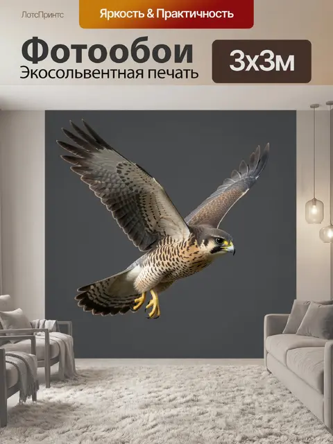 Фотообои Сокол в полёте с расправленными крыльями