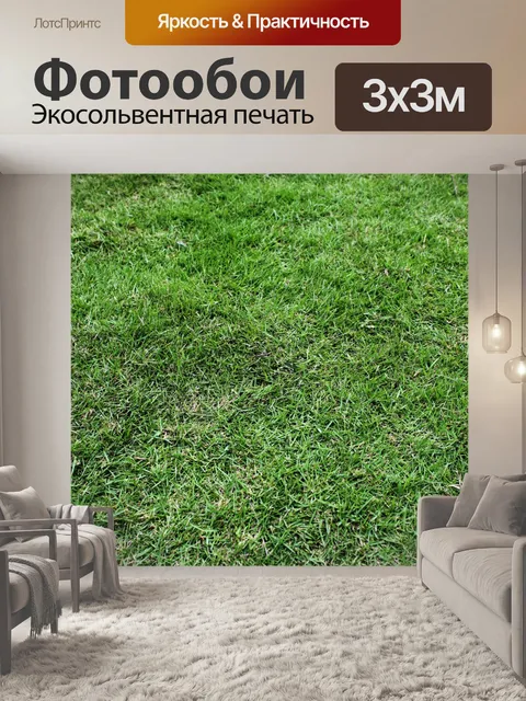 Фотообои зеленом фоне травы