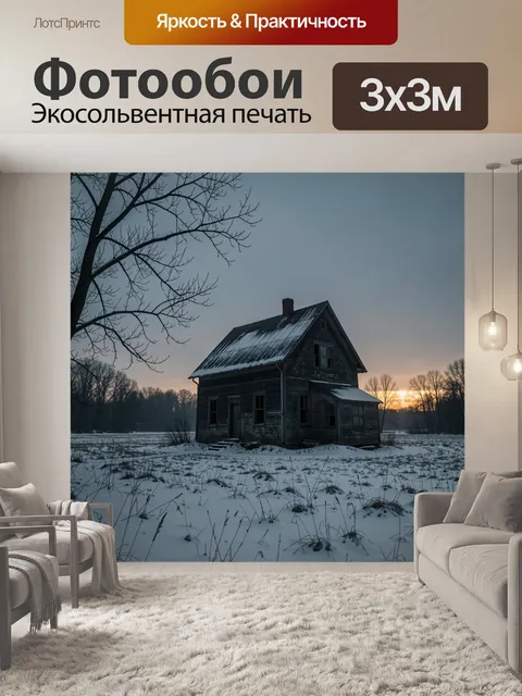 Фотообои Заброшенный дом зимой в поле