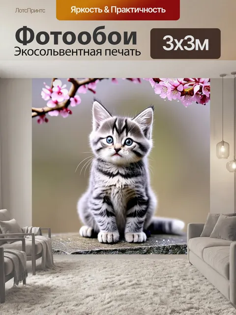 Фотообои Котенок с серой полосатой шерстью, сидит на каменной поверхности