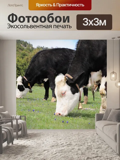 Фотообои Корова