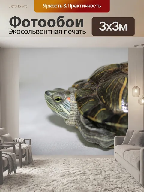 Фотообои Черепаха