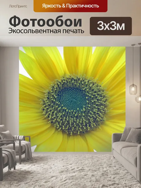 Фотообои Ядро подсолнечника