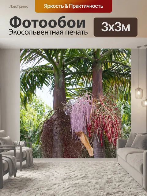 Фотообои пальмовые деревья