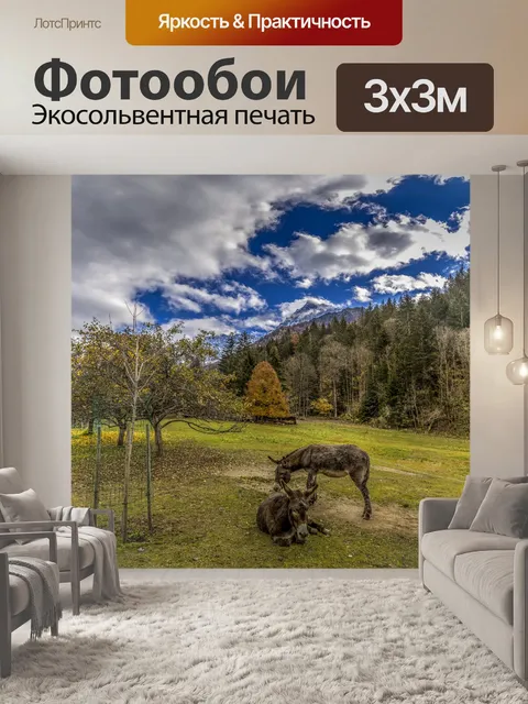 Фотообои Осел, пасущийся в горах