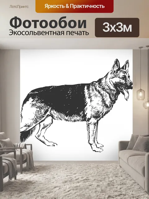 Фотообои Немецкая овчарка Клипарт