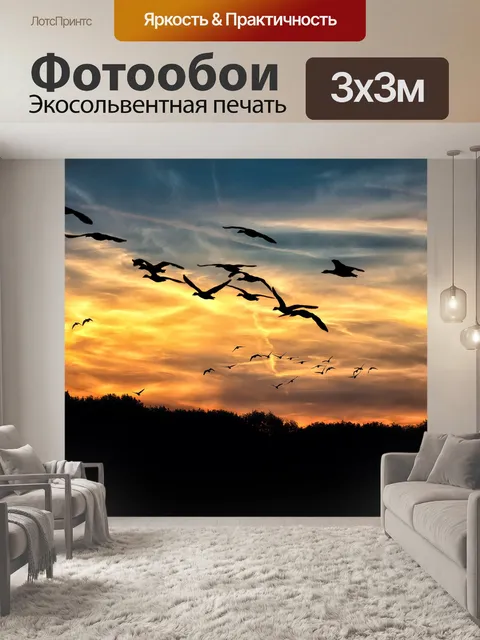 Фотообои Дикие гуси закат осень