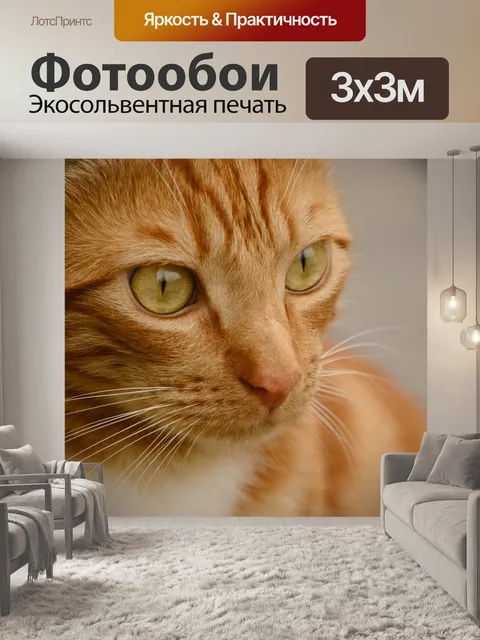 Фотообои Кот