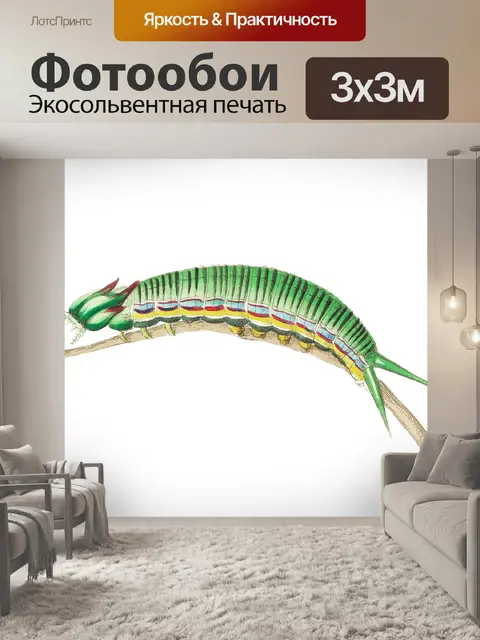 Фотообои Винтажная художественная бабочка Caterpi
