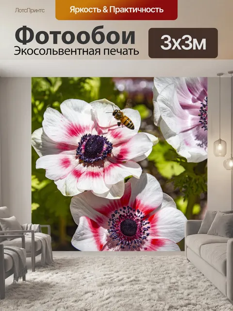 Фотообои мак анемон и пчела