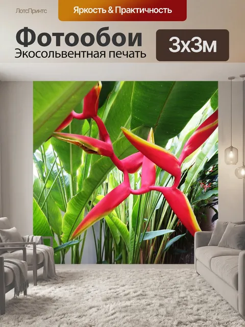 Фотообои Райская птица цветок