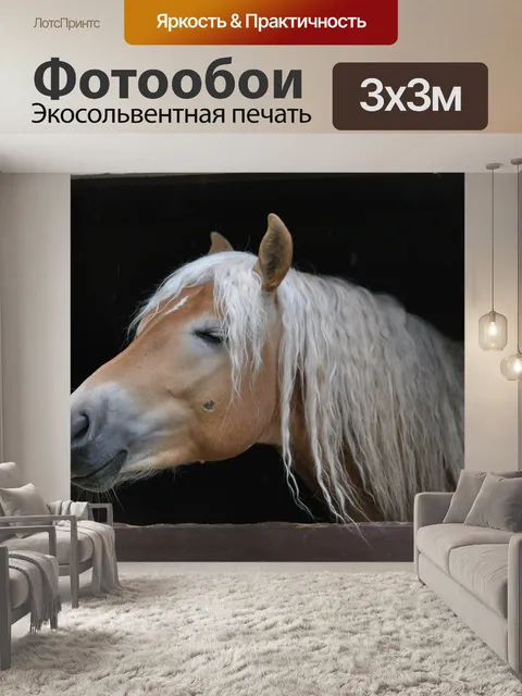 Фотообои Жеребец