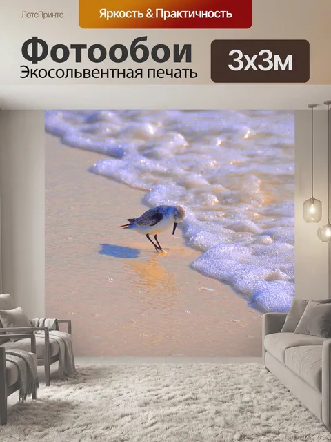Фотообои Птица