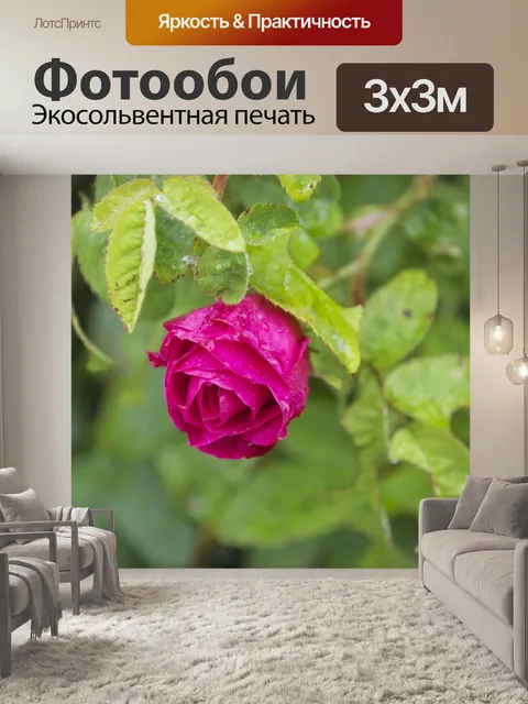 Фотообои Красный