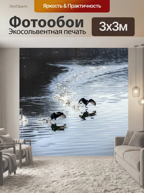 Фотообои Птицы