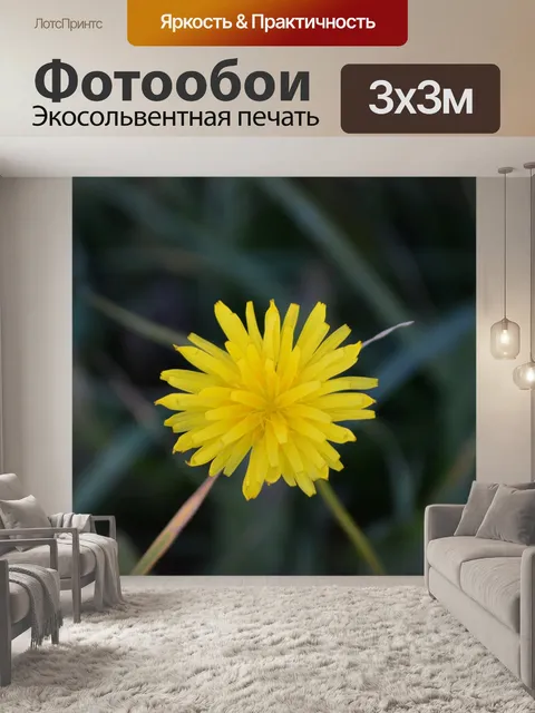 Фотообои Одуванчик
