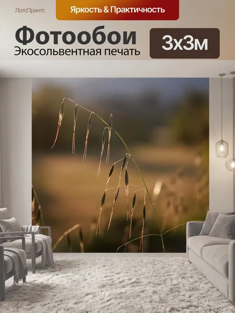 Фотообои Закат