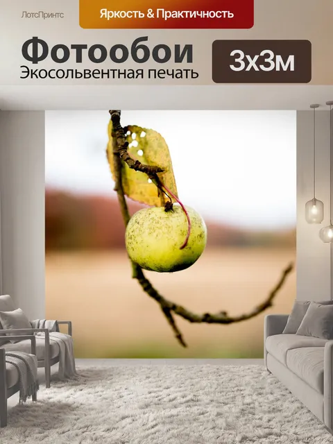 Фотообои Яблоко