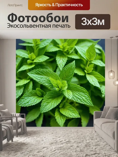 Фотообои мятный цвет, сбор урожая мятного чая, детали растений, ароматный запах, атмосфера дачной жизни, зелень и…