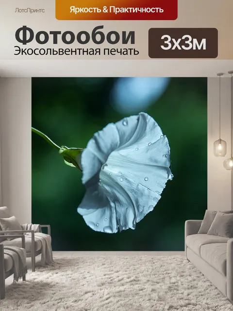 Фотообои Цветок