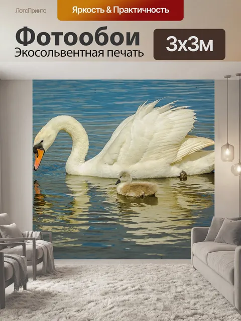 Фотообои Лебеди