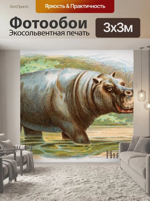 Фотообои Бегемот