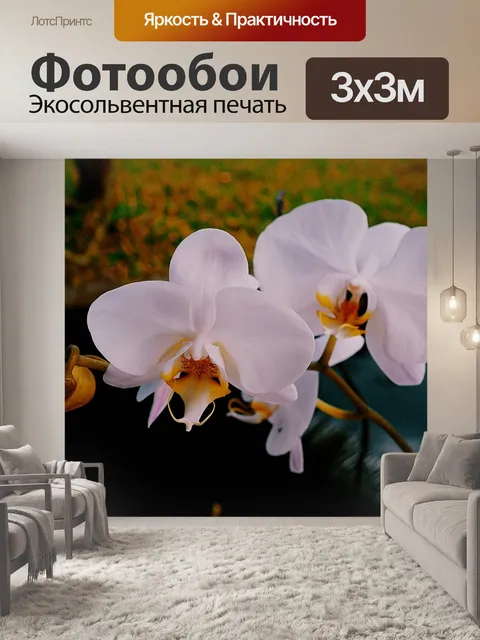 Фотообои Орхидеи