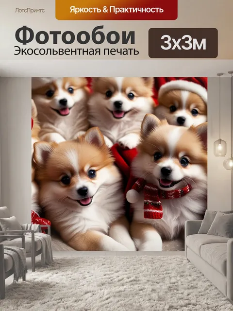 Фотообои щенки шпиц, пушистые питомцы, новогодние шапочки, рождественские шарфы, мягкий плед,